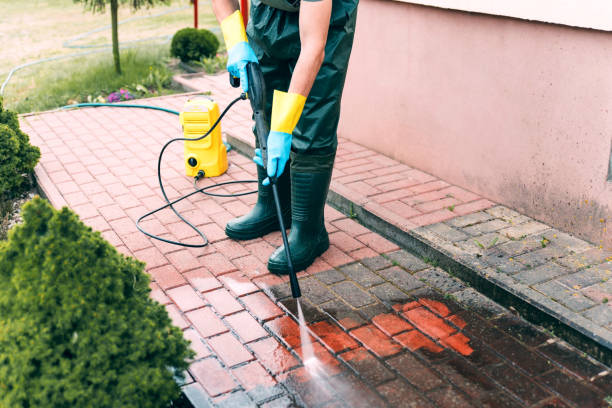 Best Animal Enclosure Cleaning  in Chestnut Ridge, NY